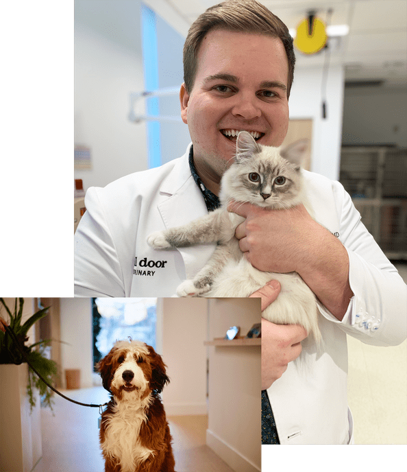 Small Door veterinarian with cat and dog
