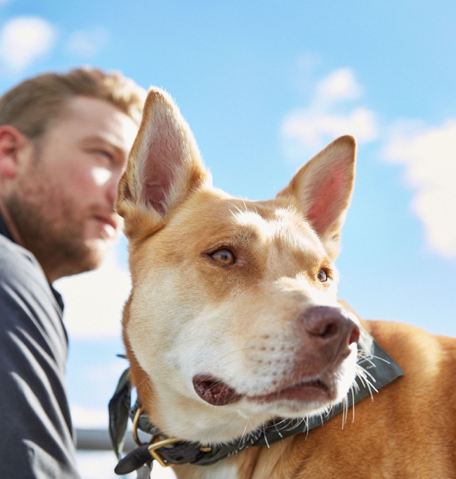 A pet parent with their dog