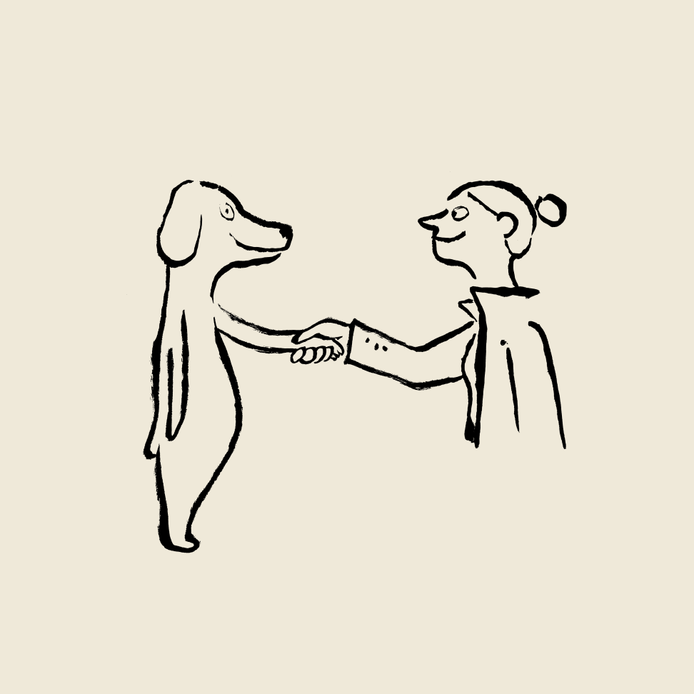 Value driven illustration